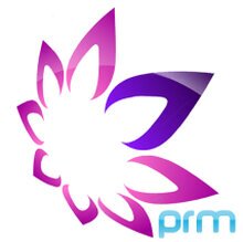 Pratibha Refractory Minerals